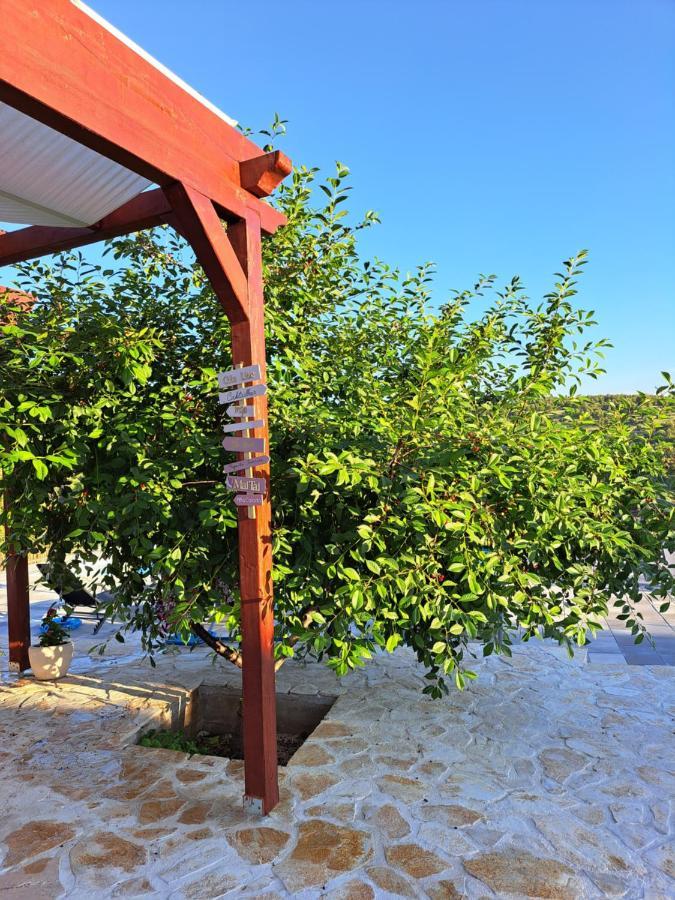Guest House "The View" - With A Pool Donje Polje Extérieur photo